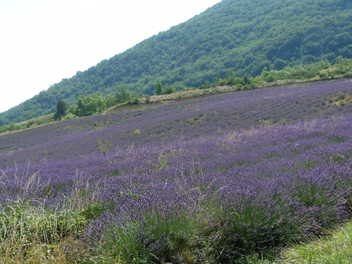 La Clairiere Villa Pierrelongue Екстериор снимка